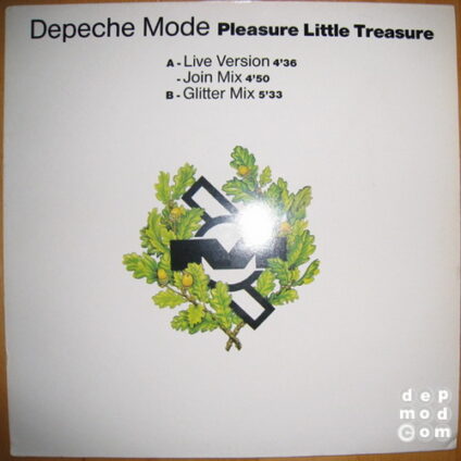 Pleasure Little Treasure 1